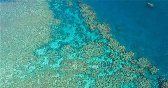 Rạn san hô Great Barrier ở bang Queensland, Australia. Ảnh: THX/TTXVN phát