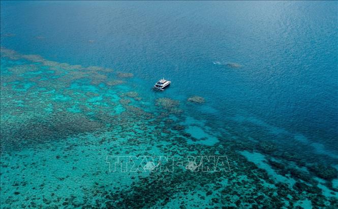 Rạn san hô Great Barrier ở bang Queensland, Australia. Ảnh: THX/TTXVN phát