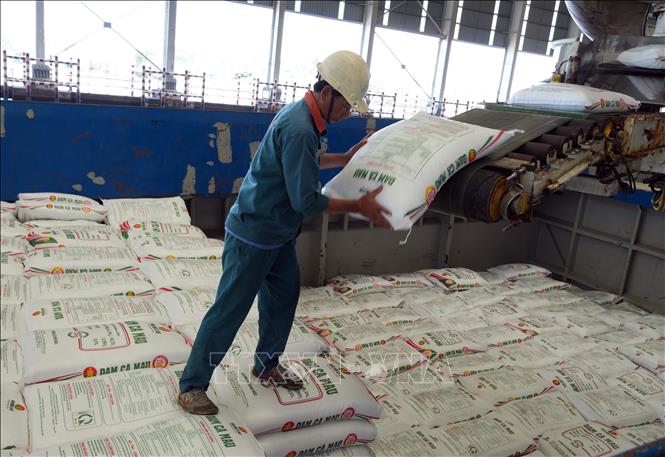 Phân bón Cà Mau xuất khẩu 9 tháng vượt 50% kế hoạch năm. Ảnh: Trung Hiếu-TTXVN