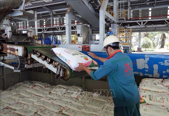 Phân bón Cà Mau xuất khẩu 9 tháng vượt 50% kế hoạch năm. Ảnh: Trung Hiếu-TTXVN
