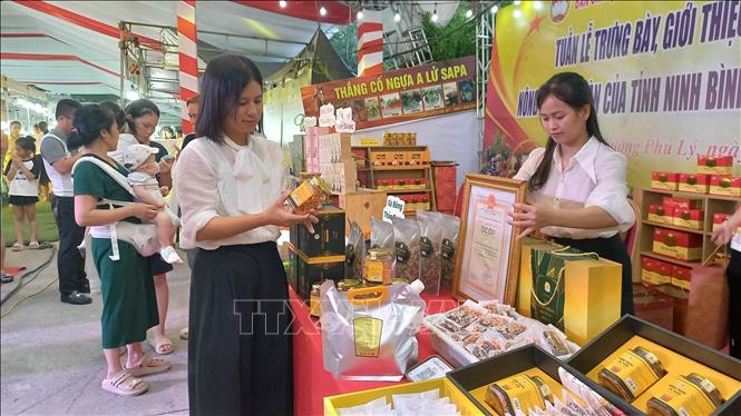 Hợp tác xã Dược thảo Minh Đức, xã Nam Xang tích cực tham gia quảng bá, giới thiệu sản phẩm tại các hội chợ do Liên minh Hợp tác xã Ninh Bình tổ chức, giúp mở rộng thị trường tiêu thụ sản phẩm. Ảnh: Nguyễn Chinh - TTXVN