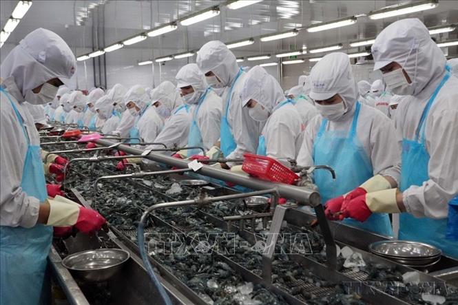 Việt Nam xuất khẩu sang Bỉ nhiều mặt hàng chủ lực, trong đó có giày dép, thiết bị máy tính, hàng dệt may, hàng thủy sản... Ảnh: Trung Hiếu - TTXVN