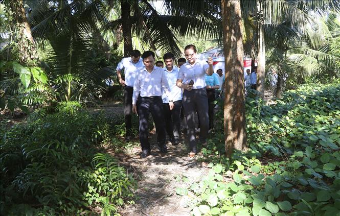 Tỉnh Cà Mau đặt mục tiêu phấn đấu đến năm 2030 sẽ có 100% khóm, ấp trên địa bàn tỉnh có đường bê tông giao thông nông thôn. Ảnh: Tuấn Phi - TTXVN