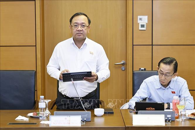Đại biểu Quốc hội Thành phố Hồ Chí Minh Nguyễn Thành Trung phát biểu. Ảnh: Doãn Tấn - TTXVN