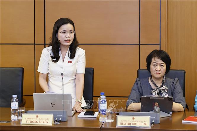 Đại biểu Quốc hội tỉnh Hưng Yên Vũ Hồng Luyến phát biểu. Ảnh: Doãn Tấn - TTXVN