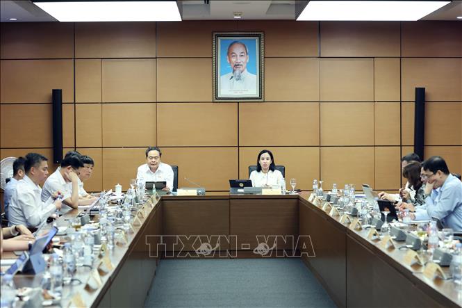 Chủ tịch Quốc hội Trần Thanh Mẫn, đại biểu Quốc hội Thành phố Hồ Chí Minh phát biểu. Ảnh: Doãn Tấn - TTXVN