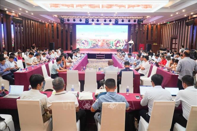 Toàn cảnh hội nghị. Ảnh: Hoa Mai - TTXVN