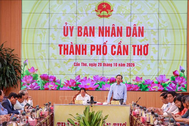 Phó Chủ tịch UBND thành phố Cần Thơ Vương Quốc Nam phát biểu tại buổi làm việc. Ảnh: Thanh Liêm - TTXVN