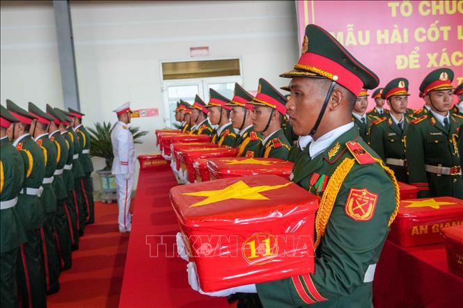 Trong đợt vận chuyển thứ hai bằng máy bay quân sự, có 8.453 mẫu hài cốt liệt sĩ trên địa bàn Quân khu 9 được đưa ra Hà Nội để giám định ADN. Ảnh: Thanh Liêm - TTXVN