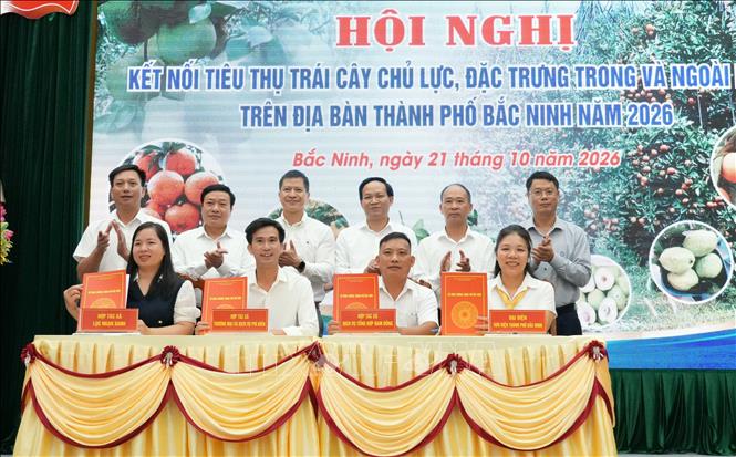Các đơn vị sản xuất ký kết biên bản thỏa thuận hợp tác tiêu thụ nông sản chủ lực, đặc trưng với các doanh nghiệp logistics, chuyển phát nhanh. Ảnh: Đồng Thúy- TTXVN