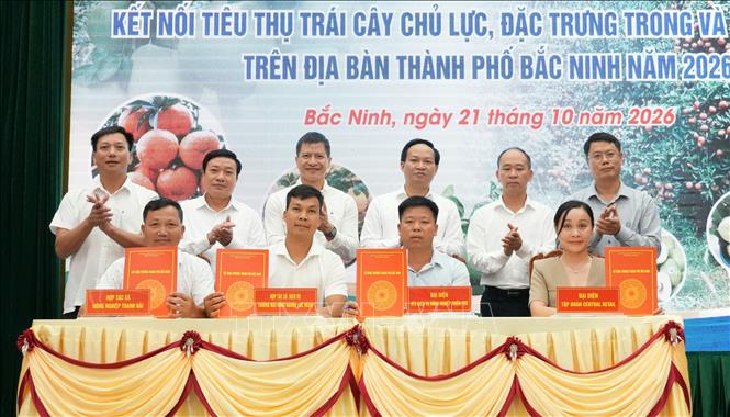 Ký kết biên bản thỏa thuận hợp tác tiêu thụ nông sản chủ lực, đặc trưng của thành phố Bắc Ninh năm 2026 giữa các đơn vị sản xuất với hệ thống trung tâm thương mại, siêu thị. Ảnh: Đồng Thúy- TTXVN