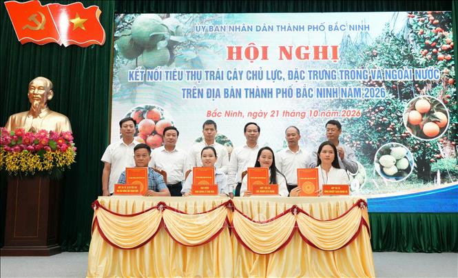 Ký kết biên bản thỏa thuận hợp tác tiêu thụ nông sản chủ lực, đặc trưng của thành phố Bắc Ninh năm 2026 giữa các đơn vị sản xuất với các chợ đầu mối. Ảnh: Đồng Thúy- TTXVN