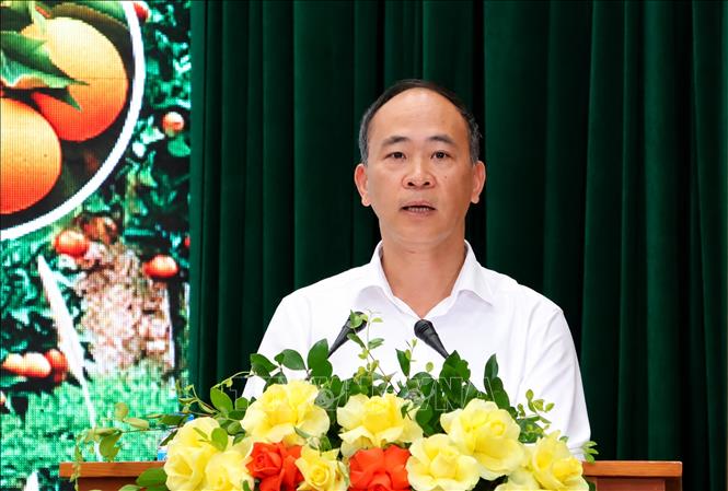 Phó Giám đốc Sở Công thương thành phố Bắc Ninh Nguyễn Thế Thi báo cáo tình hình sản xuất, tiêu thụ một số cây ăn quả chủ lực trên địa bàn thành phố năm 2026. Ảnh: Đồng Thúy- TTXVN