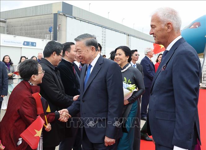 Cán bộ, nhân viên Đại sứ quán và cộng đồng người Việt Nam đón Tổng Bí thư, Chủ tịch nước Tô Lâm và Phu nhân Ngô Phương Ly tại Sân bay quân sự Melsbroek, Brussels. Ảnh: Thống Nhất – TTXVN