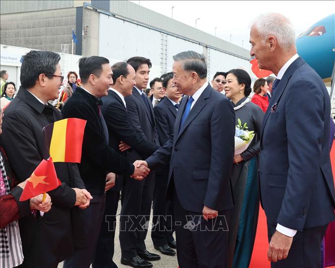Cán bộ, nhân viên Đại sứ quán và cộng đồng người Việt Nam đón Tổng Bí thư, Chủ tịch nước Tô Lâm và Phu nhân Ngô Phương Ly tại Sân bay quân sự Melsbroek, Brussels. Ảnh: Thống Nhất – TTXVN