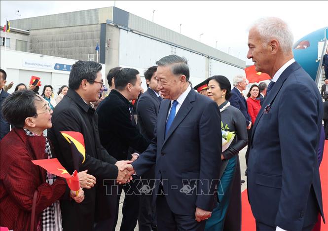 Cán bộ, nhân viên Đại sứ quán và cộng đồng người Việt Nam đón Tổng Bí thư, Chủ tịch nước Tô Lâm và Phu nhân Ngô Phương Ly tại Sân bay quân sự Melsbroek, Brussels. Ảnh: Thống Nhất – TTXVN