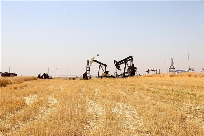 Giàn bơm dầu tại mỏ dầu Rmelan ở tỉnh Hasakah, Syria. Ảnh: THX/TTXVN phát
