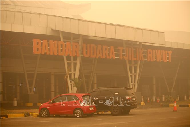 Khói mù từ các đám cháy rừng bao phủ tại khu vực Palangka Raya, Trung Kalimantan, Indonesia. Ảnh: THX/TTXVN phát