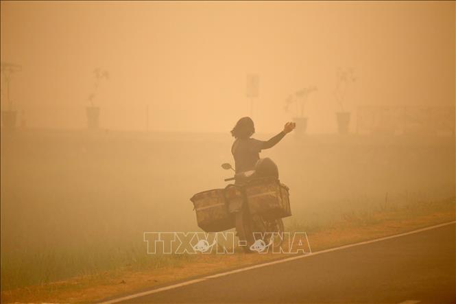 Khói mù từ các đám cháy rừng bao phủ tại khu vực Palangka Raya, Trung Kalimantan, Indonesia. Ảnh: THX/TTXVN phát