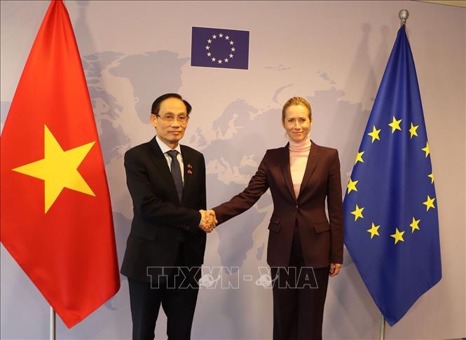 Bộ trưởng Ngoại giao Lê Hoài Trung và Phó Chủ tịch Ủy ban châu Âu, Đại diện cấp cao EU Kaja Kallas. Ảnh: Duy Tùng - PV TTXVN tại Bỉ
