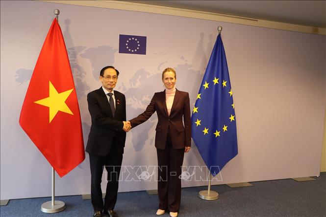 Bộ trưởng Ngoại giao Lê Hoài Trung và Phó Chủ tịch Ủy ban châu Âu, Đại diện cấp cao EU Kaja Kallas. Ảnh: Duy Tùng - PV TTXVN tại Bỉ