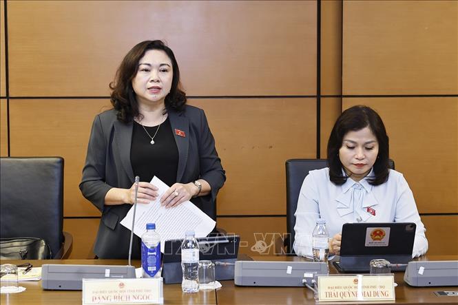 Đại biểu Quốc hội tỉnh Phú Thọ Đặng Bích Ngọc phát biểu. Ảnh: Doãn Tấn - TTXVN