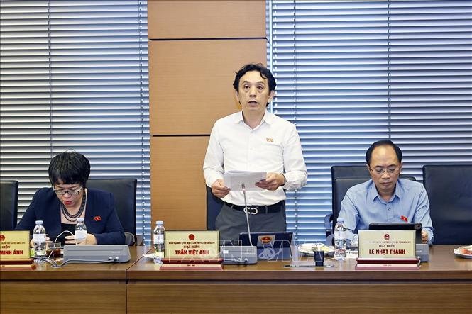 Đại biểu Quốc hội TP Hà Nội Trần Việt Anh phát biểu. Ảnh: Doãn Tấn - TTXVN