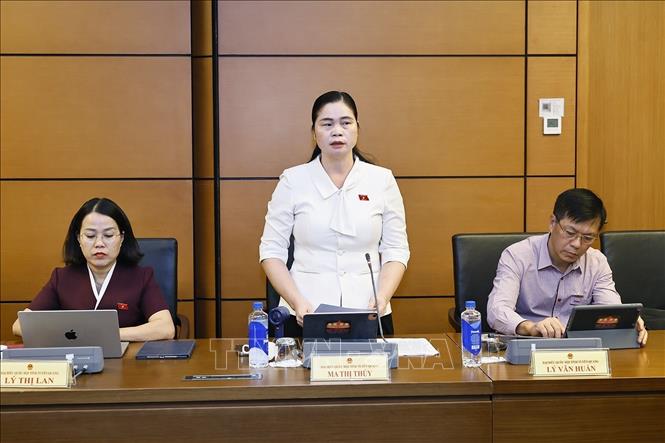 Đại biểu Quốc hội tỉnh Tuyên Quang Ma Thị Thuý phát biểu. Ảnh: Doãn Tấn - TTXVN