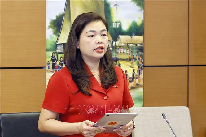 Đại biểu Quốc hội tỉnh Cao Bằng Đoàn Thị Lê An phát biểu. Ảnh: Doãn Tấn - TTXVN