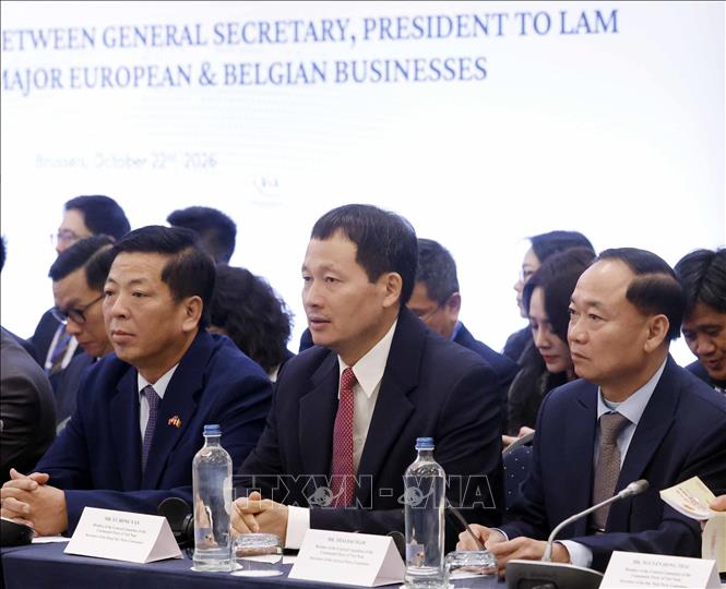Các đại biểu đoàn Việt Nam tham dự Toạ đàm cấp cao giữa Tổng Bí thư, Chủ tịch nước Tô Lâm với lãnh đạo doanh nghiệp tiêu biểu châu Âu và Bỉ. Ảnh: Thống Nhất – TTXVN