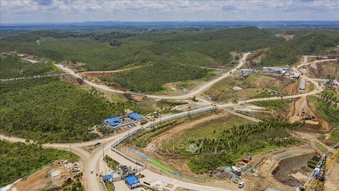 Rừng trong khu vực thủ đô mới Nusantara của Indonesia. Ảnh: Đỗ Quyên – PV TTXVN tại Indonesia