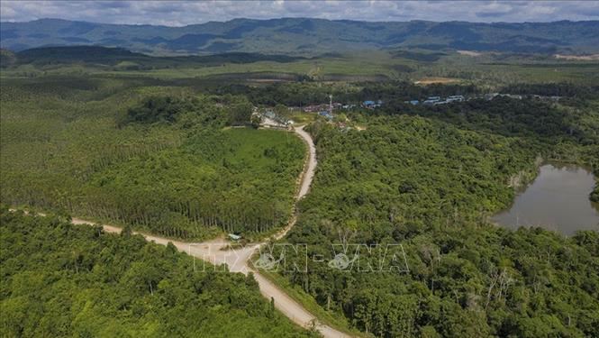 Thủ đô mới Nusantara của Indonesia, tại tỉnh Đông Kalimantan được định hướng xây dựng trở thành “thành phố rừng”. Ảnh: Đỗ Quyên – PV TTXVN tại Indonesia