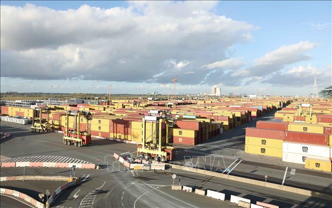 Cảng Antwerp-Bruges được hình thành trên cơ sở hợp nhất cảng Antwerp và cảng Zeebrugge từ năm 2022, qua đó tăng cường vị thế trong chuỗi logistics toàn cầu và tạo nền tảng để phát triển thành trung tâm logistics, công nghiệp và năng lượng quy mô lớn của châu Âu. Ảnh: Thống Nhất – TTXVN