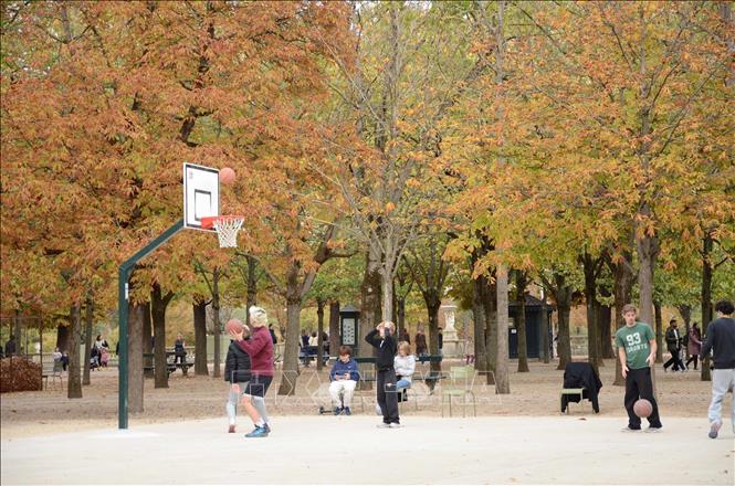 Thanh thiếu niên chơi bóng rổ dưới những tán cây chuyển màu vàng trong Vườn hoa Luxembourg ở thủ đô Paris (Pháp). Ảnh: Hữu Chiến – PV TTXVN tại Pháp