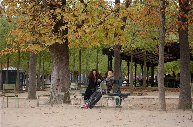 Hai bạn trẻ tận hưởng không khí mùa thu dưới những tán cây lá vàng tại Vườn hoa Luxembourg ở Paris (Pháp). Ảnh: Hữu Chiến – PV TTXVN tại Pháp