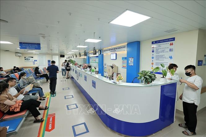 Thụ tinh trong ống nghiệm (IVF) là kỹ thuật thụ tinh giữa trứng và tinh trùng trong môi trường ống nghiệm, được ứng dụng trong điều trị vô sinh – hiếm muộn phổ biến nhất hiện nay. Ảnh: Minh Quyết – TTXVN