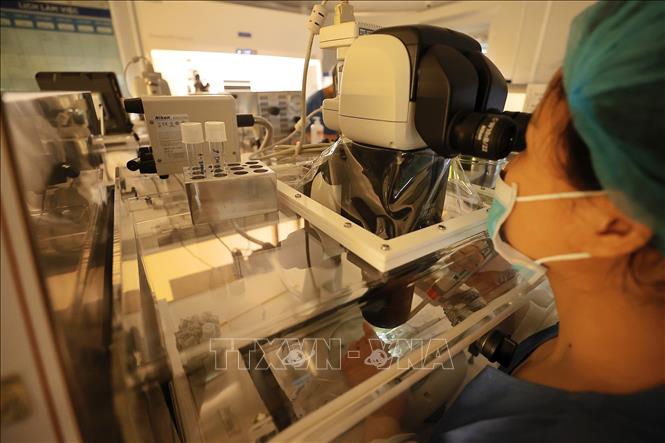 Trứng và tinh trùng sẽ được chuyển đến phòng Labo để thụ tinh và tạo phôi. Phôi sẽ được nuôi cấy trong môi trường chuyên dụng khoảng từ 2 – 5 ngày trước khi chuyển vào buồng tử cung của người vợ. Ảnh: Minh Quyết – TTXVN