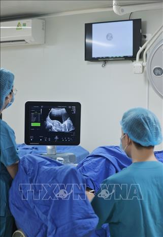 Trong quy trình IVF, tinh trùng và trứng sẽ được thụ tinh trong phòng Labo để tạo thành phôi. Sau khi nuôi cấy phôi khoảng 2 đến 5 ngày, phôi sẽ được chuyển trở lại buồng tử cung của người vợ để phát triển thành thai nhi. Ảnh: Minh Quyết – TTXVN