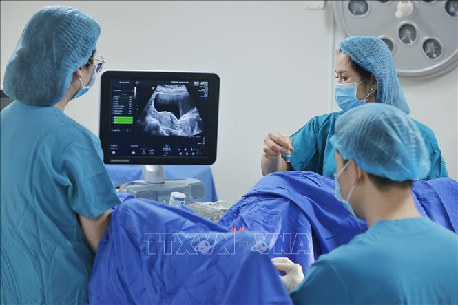 Trong quy trình IVF, tinh trùng và trứng sẽ được thụ tinh trong phòng Labo để tạo thành phôi. Sau khi nuôi cấy phôi khoảng 2 đến 5 ngày, phôi sẽ được chuyển trở lại buồng tử cung của người vợ để phát triển thành thai nhi. Ảnh: Minh Quyết – TTXVN
