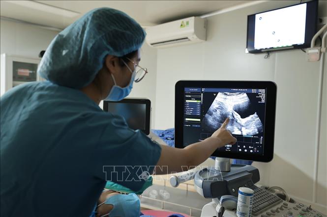 Có 2 kỹ thuật chuyển phôi, đó là chuyển phôi tươi và phôi đông lạnh. Nếu chuyển phôi tươi, người vợ được chuyển phôi ngay sau khi phôi tạo ra. Với phôi đông lạnh, toàn bộ số phôi đạt chất lượng sẽ được trữ đông, người vợ sẽ được chuyển phôi vào các chu kỳ tiếp theo. Ảnh: Minh Quyết – TTXVN