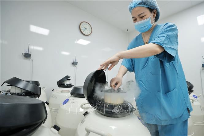 Khu vực bảo quản phôi đông lạnh ở nhiệt độ -196 độ C. Ảnh: Minh Quyết – TTXVN
