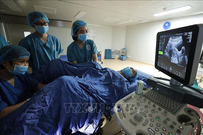 Có 2 kỹ thuật chuyển phôi, đó là chuyển phôi tươi và phôi đông lạnh. Nếu chuyển phôi tươi, người vợ được chuyển phôi ngay sau khi phôi tạo ra. Với phôi đông lạnh, toàn bộ số phôi đạt chất lượng sẽ được trữ đông, người vợ sẽ được chuyển phôi vào các chu kỳ tiếp theo. Ảnh: Minh Quyết – TTXVN