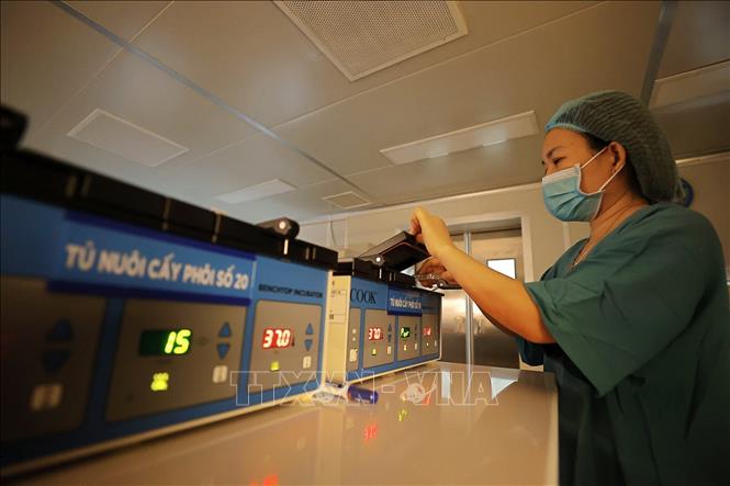 Nhân viên y tế chuyển đĩa phôi vào tủ nuôi cấy phôi. Ảnh: Minh Quyết – TTXVN