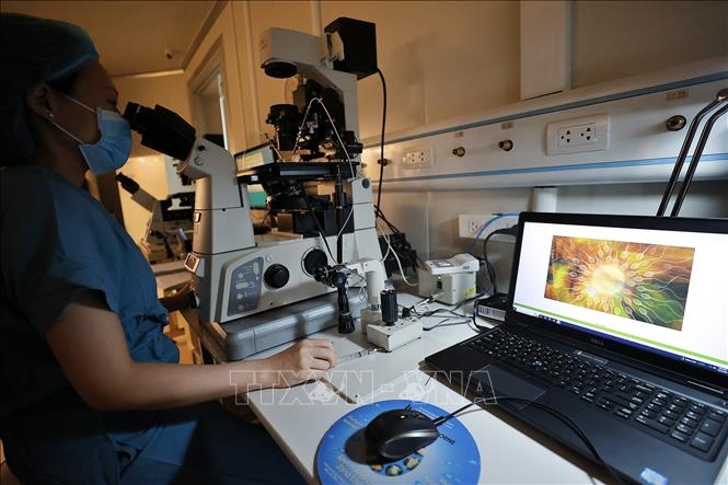 Thụ tinh trong ống nghiệm (IVF) là kỹ thuật thụ tinh giữa trứng và tinh trùng trong môi trường ống nghiệm, được ứng dụng trong điều trị vô sinh – hiếm muộn phổ biến nhất hiện nay. Ảnh: Minh Quyết – TTXVN