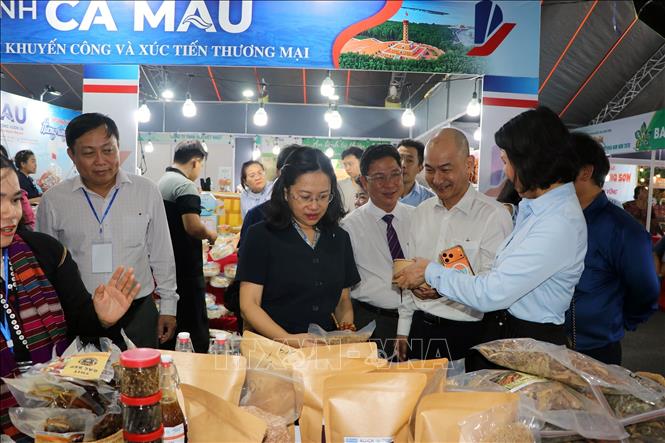 Bà Đỗ Thị Minh Trâm, Phó Cục trưởng cục công nghiệp, Bộ Công thương tham quan hội chợ triển lãm sản phẩm công nghiệp nông thôn tiêu biểu khu vực phía Nam. Ảnh: Thanh Vũ – TTXVN
