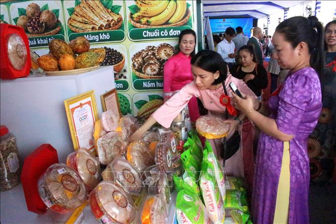 Hội nghị nhằm thúc đẩy liên kết giữa các địa phương, phát huy hiệu quả tiềm năng, lợi thế và nguồn lực sẵn có, qua đó mở rộng cơ hội thu hút đầu tư. Ảnh: Hồng Hiếu- TTXVN