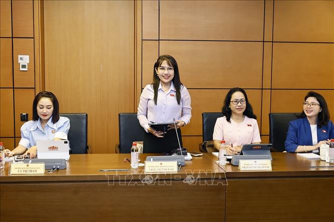 Đại biểu Quốc hội tỉnh An Giang Châu Quỳnh Dao phát biểu. Ảnh: Doãn Tấn - TTXVN