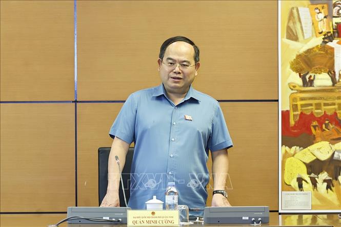 Đại biểu Quốc hội TP Quảng Ninh Quản Minh Cường phát biểu. Ảnh: Doãn Tấn - TTXVN