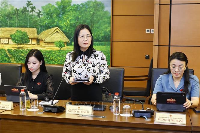 Đại biểu Quốc hội tỉnh Nghệ An Nguyễn Thị Minh Tú phát biểu. Ảnh: Doãn Tấn - TTXVN