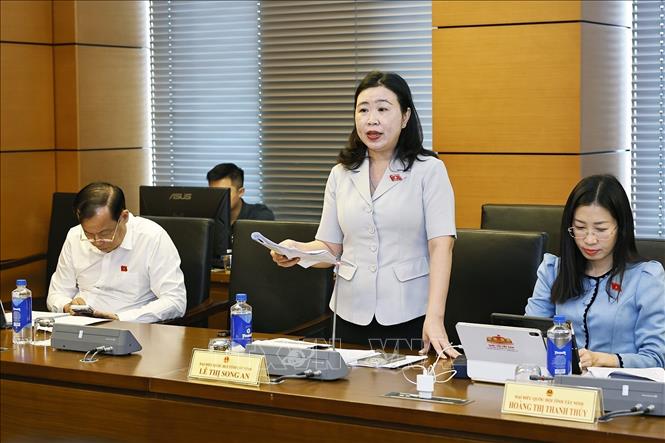 Đại biểu Quốc hội tỉnh Tây Ninh Lê Thị Son An phát biểu. Ảnh: Doãn Tấn - TTXVN